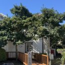 캣동산 | 제주도고양이카페 제주 캣월드, 힐링이 필요할 땐 고양이와 함께