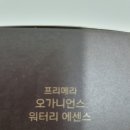 덤핑싸
