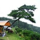 브라보캠핑장