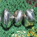 송내2동 행정복지센터 이미지