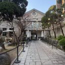 타이디 | [FLOWOOM] 26ss 신상 / 플로움 쇼룸 예약•방문 후기 (트리밍버드, 타이디 아이코닉, 앨리스 트위드)