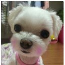 똘이인쇄