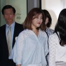 레인보우 이미지