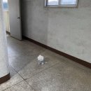 코타츠