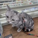 동구종합동물병원 이미지