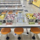 한가람초등학교 이미지