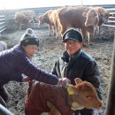 미동농장 이미지