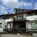 홍's 민박 | [경주 한달살기] 낭만홍s 게스트하우스에서 한달살기 후기