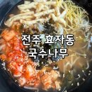 국수나무효자 이미지