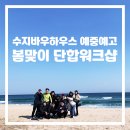 수지바우하우스미술학원