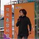 봉화춘양시장(춘양시장) 이미지