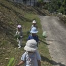 9월 셋째주 생태놀이(정성미 담기/가을곤충 관찰하기/감,밤,대추 맛보기/귀산서원 걷기 /지호 생일잔치/책놀이/흙동산놀이) 이미지