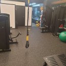 프리미어짐 이미지