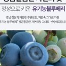 금강3농장 이미지