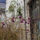 데핏 | 코로나 블루_데핏 부천점 후기 아쿠아필 복부관리 하체관리 바디림프