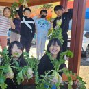 은현초등학교 이미지