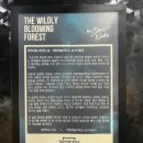 닉스 | 강남역 대형카페 셀렉티드닉스 후기