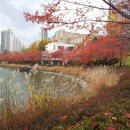카페플로리 - 은평구 연서로25길 17-16 | 카페플로리
