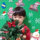 🍓메리크리스마스🎄트리를 꾸며보았어요 이미지