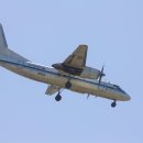 파주24시동물병원 이미지