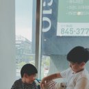 강아지트 이미지