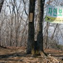 솔밭공원2 이미지