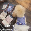 큐리애견 네이버블로그