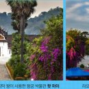 다인투어여행사 이미지