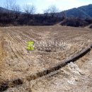 동호리농장 이미지