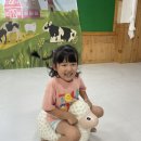 놀퍼데이 - 동물농장 🐶🐷🐯🐥💖 이미지