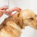 스테이 휴 이미지