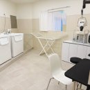 일산애견 이미지