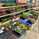 금촌농약사 이미지