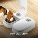 시장2구 | 타이머 반려동물 자동 급식기 2구 써보니, 고양이 강아지 만족 후기