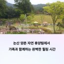 자연친화코스1 | 논산 양촌 자연 휴양림 펜션 추천, 가족과 힐링 1박 2일 코스