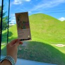 불로고분 주차장 내 | 고분 뷰가 멋있는 경주 오아르 미술관, 전시 관람 후기 🎨