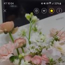 마이미플레르 이미지