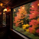 Grand hanok | 해랑열차 코스별 가격·후기 총정리 | 직장인 힐링기차여행 ✨