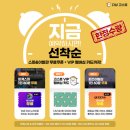 펫가드 펫택시 | 베트남 다낭 여행 시 준비물 공항 패스트트랙 가격 애견동반 내돈내산