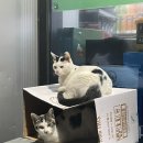 이마트24 영종덕교중앙점 이미지