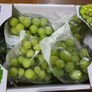 보민농장 이미지