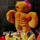 무림오피스 | 11월 성수동 팝업스토어 후기, 성수동 가볼만한 곳 (feat. 남편이의 빼빼로데이 선물)