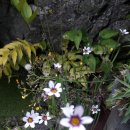 서귀포통나무집 이미지