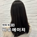 새롬애견 | 이대역미용실 바우에이치 새롬실장님 꼼꼼한 아윤채클리닉후기
