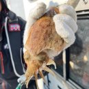 삼포방파제 이미지