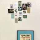 다미안 요가필라테스 상봉점 이미지