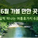 여름이네 이미지