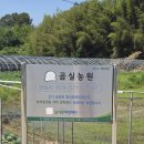 웅곡길 네이버블로그