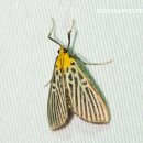 검은들로 이미지