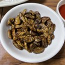 목포막회 | 대방어맛집 막회 제철회 전문 당산 영등포 목포회집 목포횟집 방문 후기